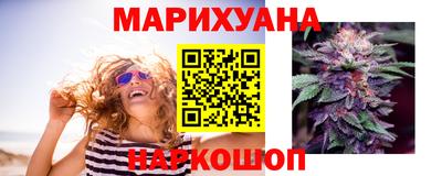 стаф Волгодонск