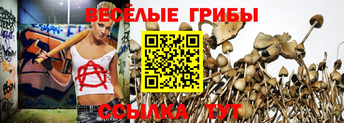 Галлюциногенные грибы Magic Shrooms  Вход с VPN  Псилоцибиновые грибы Psilocybine cubensis  Новокуйбышевск 