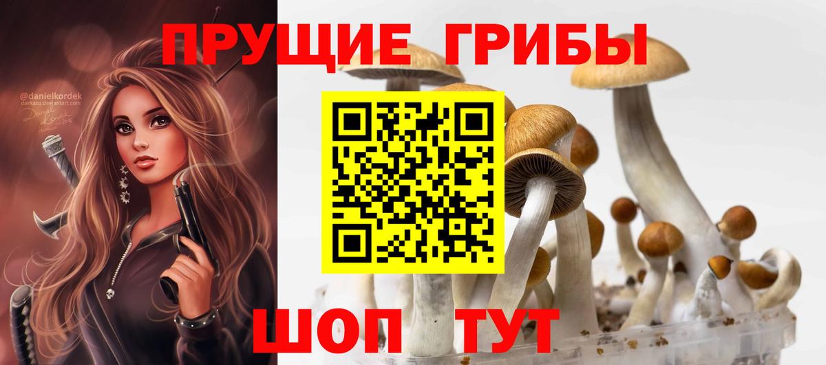 Псилоцибиновые грибы мицелий Новокуйбышевск